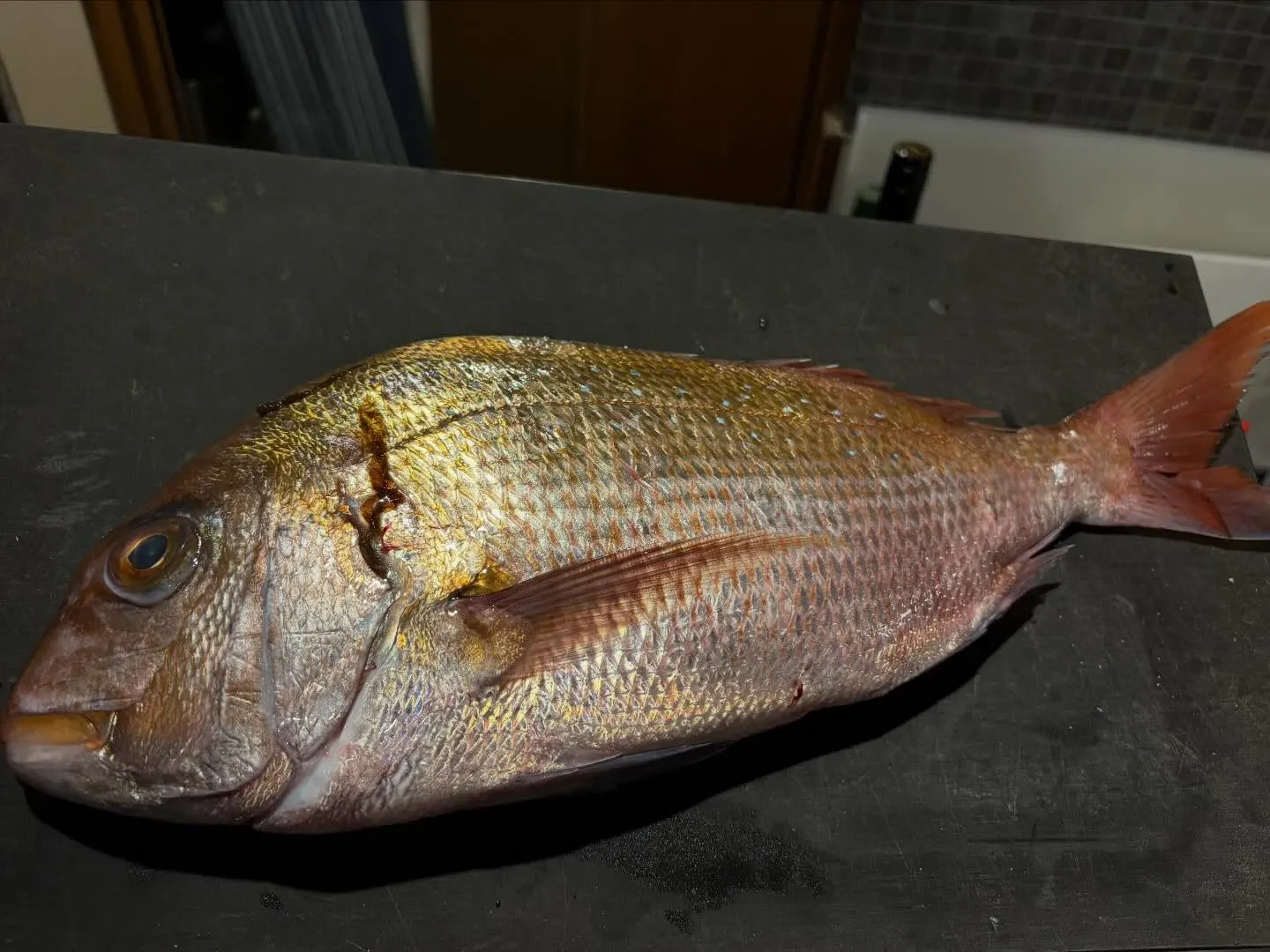 九州より産地直送　厳選魚！