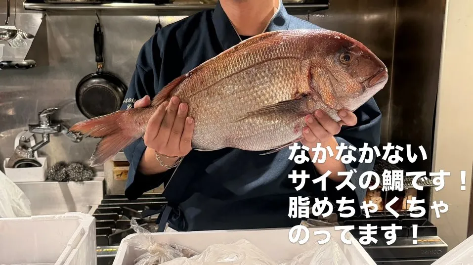 お世話になっております！