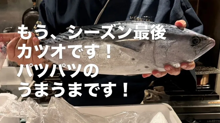 お世話になっております！